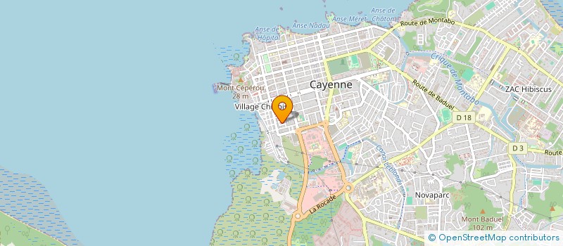 localisation de l'entreprise ASS LIGUE REGIONALE ATHLETISME DE GUYANE  CAYENNE