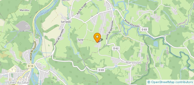 localisation de l'entreprise ASS LOCALE CULTE TEMOINS JEHOVAH SALIES  SALIES-DU-SALAT