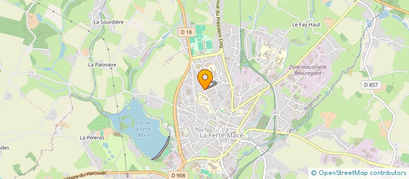 localisation de l'entreprise ASS LOCALE POUR LE CULTE DES TEMOINS DE JEHOVAH DE LA FERTE MACE à LA FERTE MACE
