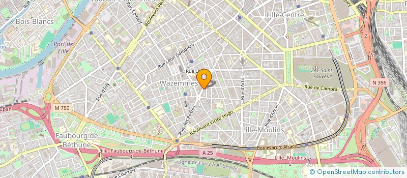 localisation de l'entreprise ASS MANIFESTATIONS SCIENTIFIQUES DES JEUNES CHERCHEURS à LILLE