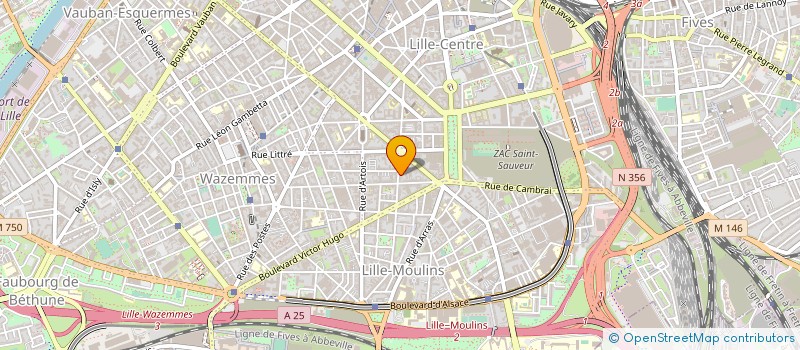 localisation de l'entreprise ASS MEDECINS LIBERAUX DEVELOP. RESEAUX à LILLE