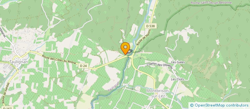 localisation de l'entreprise ASS MEDICALE ANTHROPOSOPHIQUE EN FRANCE  TAULIGNAN