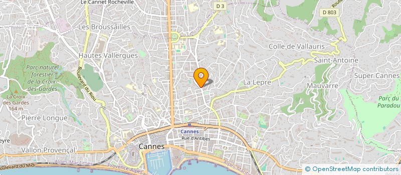 localisation de l'entreprise ASS MONTAGNE LYCEE JULES FERRY DE CANNES  CANNES