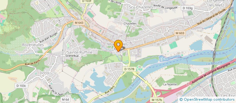 localisation de l'entreprise ASS MOULINS LES METZ HANDISPORT  METZ