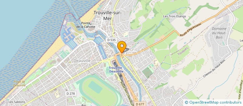 localisation de l'entreprise ASS MUN ACTION SOCIALE TROUVILLAISE à TROUVILLE-SUR-MER