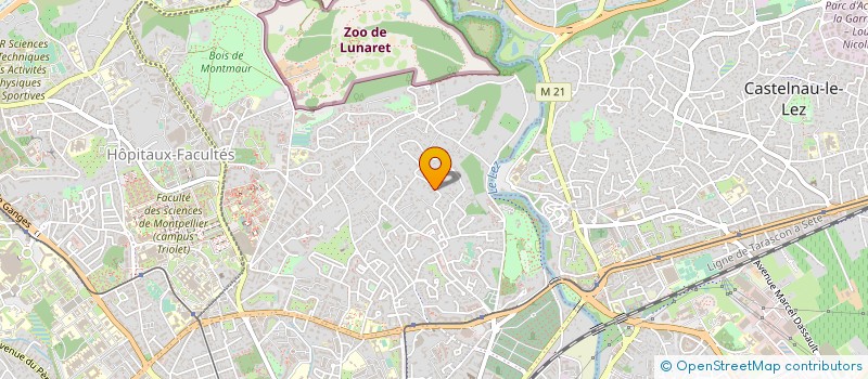 localisation de l'entreprise ASS MUSIQUE A L'UNIVERSITE à MONTPELLIER