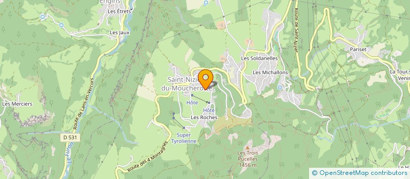 localisation de l'entreprise ASS NATIONALE DES CONSEILLERS PEDAGOGIQUES DE L'ISERE - ANCP 38  SAINT-NIZIER-DU-MOUCHEROTTE