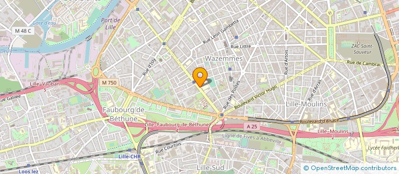 localisation de l'entreprise ASS PARENT ELEVE GROUP SCOLAIRE SALENGRO à LILLE
