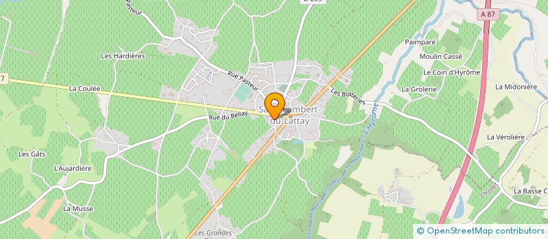 localisation de l'entreprise ASS PARENTS D ELEVES ECOLE PUBLIQUE  VAL-DU-LAYON