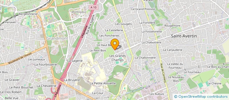 localisation de l'entreprise ASS PARENTS ELEVES GRAND CHAMP à SAINT-AVERTIN