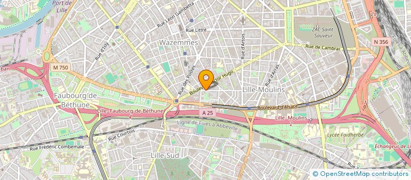 localisation de l'entreprise ASS PETITS PROJETS TERRE AVENIR PROMO à LILLE