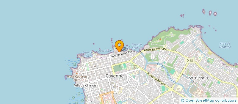 localisation de l'entreprise ASS POUR DEVELOPPEMENT ECON DE LA GUYANE à CAYENNE