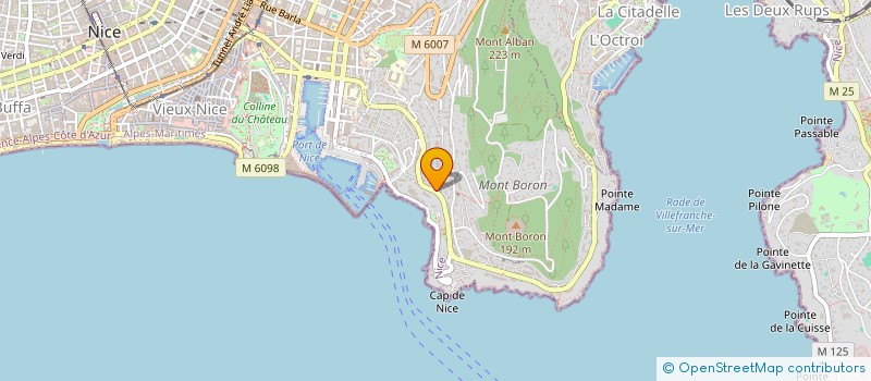 localisation de l'entreprise ASS POUR LE RAYONNEMENT DE L'OPERA NICE  NICE