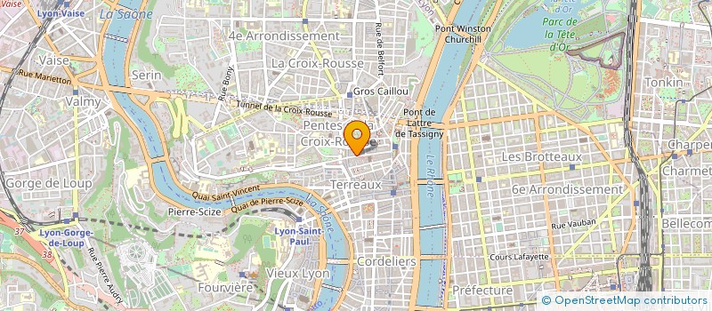 localisation de l'entreprise ASS PREMIER SERVICE à LYON