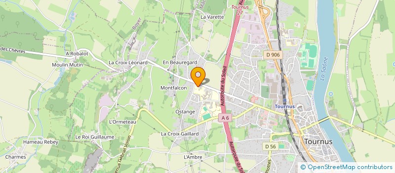 localisation de l'entreprise ASS PROFESSIONNELS SANTE DU TOURNEGEOIS  TOURNUS