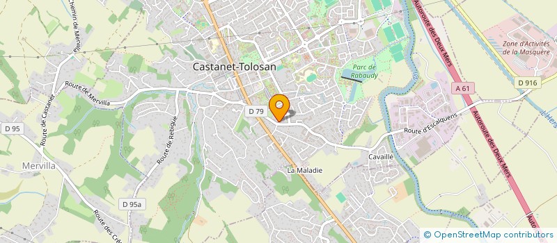 localisation de l'entreprise ASS PROMOTION INTELLECTUELS HANDICAPES à CASTANET-TOLOSAN