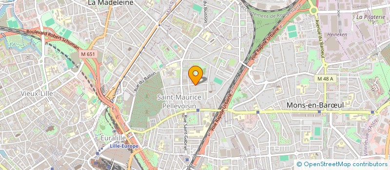 localisation de l'entreprise ASS PTE ENFANCE ST MAURICE PELLEVOISIN à LILLE