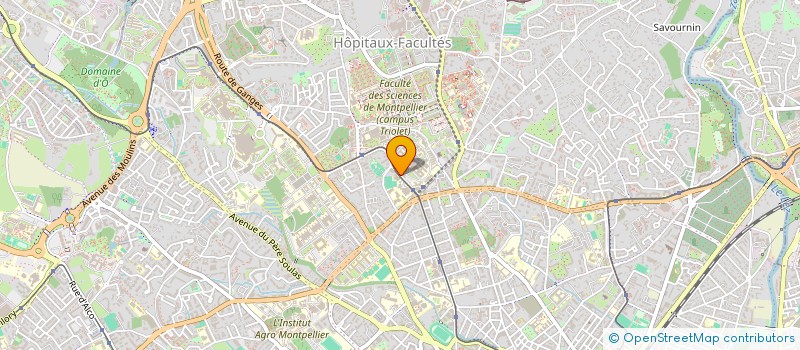 localisation de l'entreprise ASS RECHERCHE MALADIES SEIN à MONTPELLIER