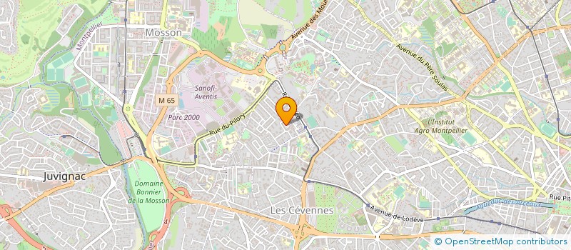 localisation de l'entreprise ASS RECHERCHE PRATIQUES ECRITURES à MONTPELLIER