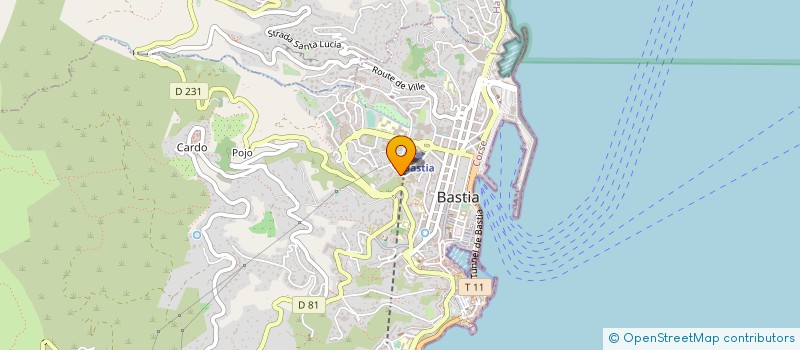 localisation de l'entreprise ASS REGIO PROMO DEVEL ENTRE INSERT GEST à BASTIA