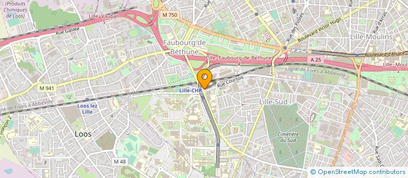 localisation de l'entreprise ASS REGIONALE RECHERCHE EN ORTHOPHONIE à LILLE