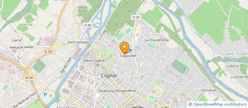 localisation de l'entreprise ASS RELANCE ECONOMIQ SOCIALE SANS EMPLOI à COGNAC