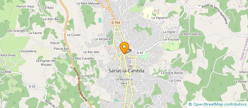 localisation de l'entreprise ASS REMPLACEM AGRICULTEURS CANTON SARLAT  SARLAT-LA-CANEDA