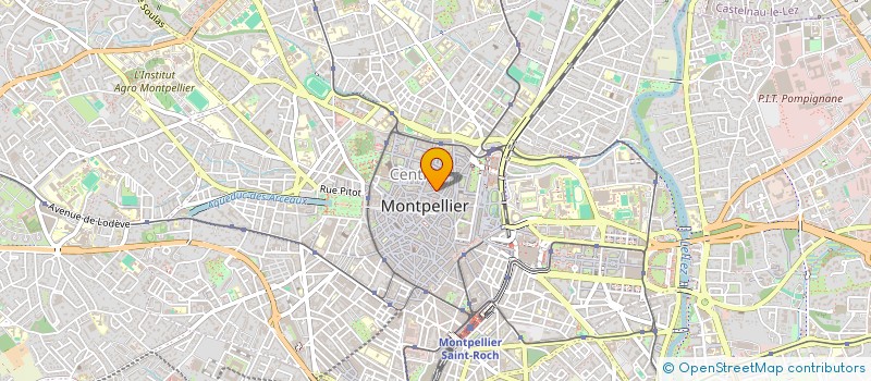 localisation de l'entreprise ASS RES INTER MONTP LANGU ROUSS TECHNOP à MONTPELLIER