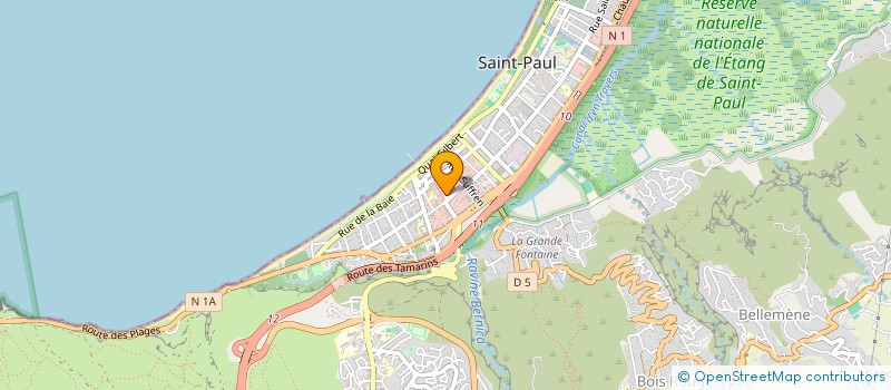 localisation de l'entreprise ASS REU FAMILLE AMI MALADE HANDIC PSYCHI à SAINT-PAUL