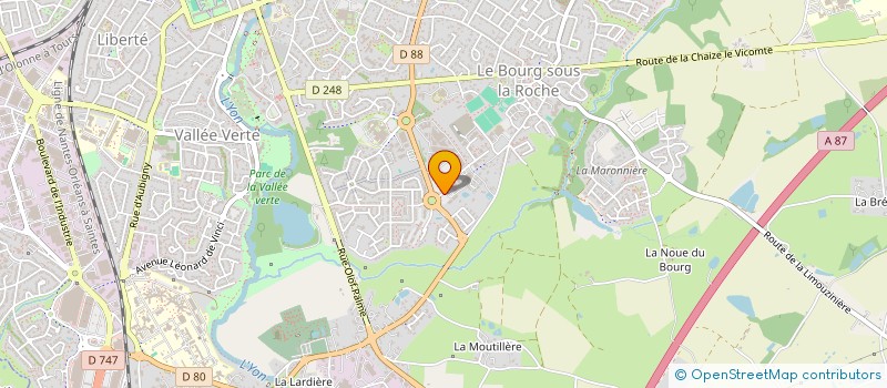 localisation de l'entreprise ASS RICHELIEU INSTRUC ET EDUCAT JEUNESSE à LA ROCHE-SUR-YON