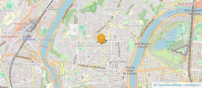 localisation de l'entreprise ASS SAVEURS MELANGEES POUR BIPEDES à LYON