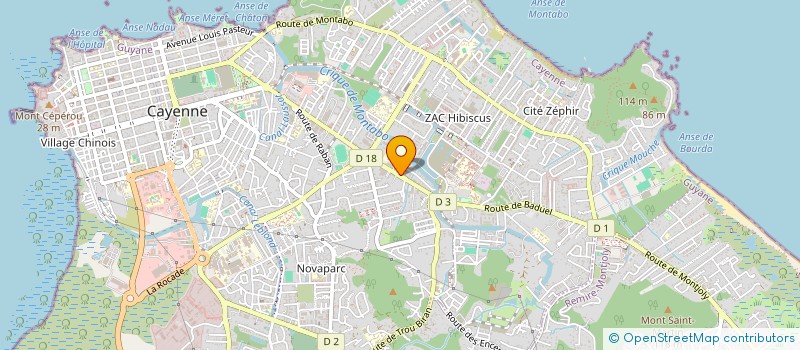 localisation de l'entreprise ASS SERVICE OFFRES GESTION DU TRAVAIL  CAYENNE