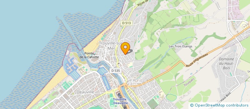 localisation de l'entreprise ASS SERVICE ORGANIS EVENEMENTS NORMANDIE à TROUVILLE-SUR-MER