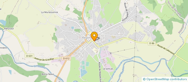 localisation de l'entreprise ASS SKI CLUB REALMONTAIS à REALMONT