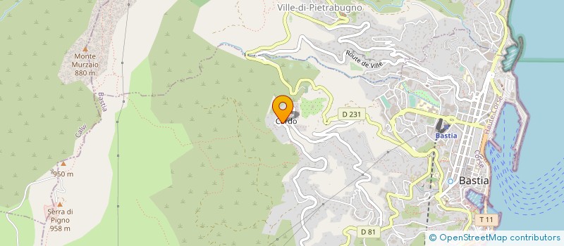 localisation de l'entreprise ASS SOCIO CULTUR LOISIR VILL SAN MARTIN à SAN-MARTINO-DI-LOTA