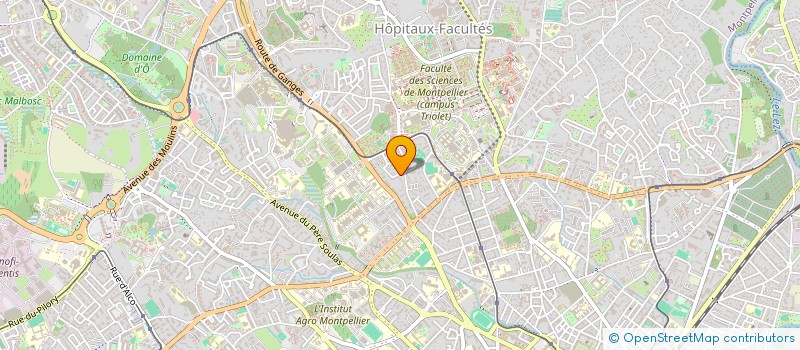 localisation de l'entreprise ASS SOPHROLOGIE VOIX ET MUSIQUE à MONTPELLIER