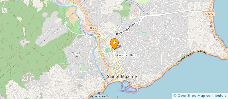 localisation de l'entreprise ASS SPORT CULTU ECOLE MIXTE SIMEON FABRE à SAINTE-MAXIME