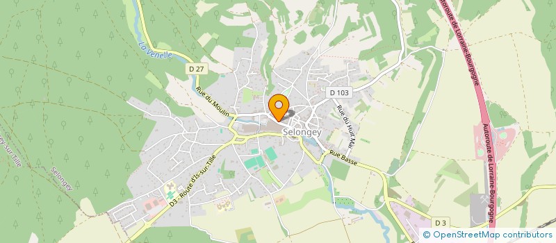 localisation de l'entreprise ASS SPORT ET CULTURELLE DES ECOLES PRIMAIRES DE SELONGEY  SELONGEY