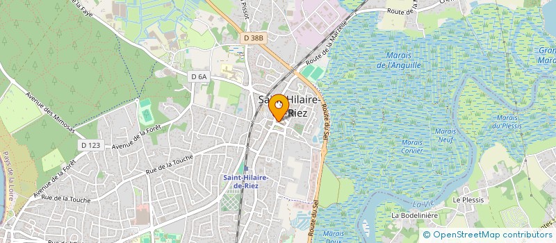 localisation de l'entreprise ASS SPORT GYMNASTIQ VOLONTAIR à SAINT-HILAIRE-DE-RIEZ