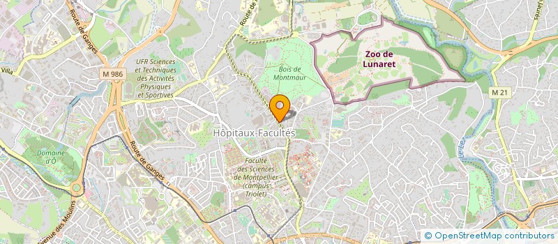localisation de l'entreprise ASS SPORTIVE DE L'UNIVERSITE DE MONTPELLIER III à MONTPELLIER
