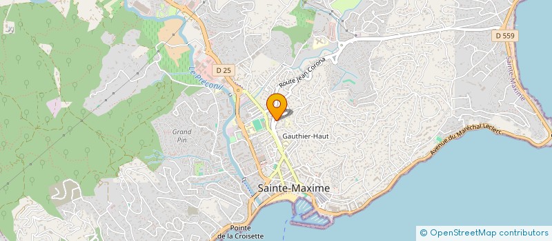 localisation de l'entreprise ASS SPORTIVE DU COLLEGE B.ALBRECHT à SAINTE-MAXIME