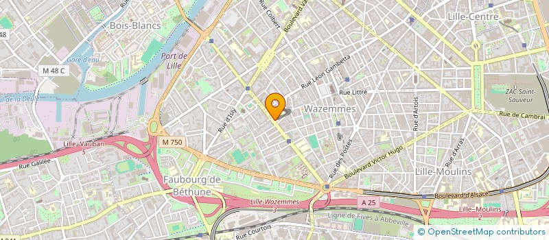 localisation de l'entreprise ASS SPORTIVE DU COLLEGE DE WAZEMMES à LILLE