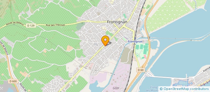 localisation de l'entreprise ASS SPORTIVE DU DIMANCHE MATIN FOOT34 à FRONTIGNAN