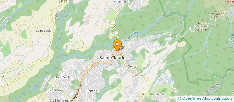 localisation de l'entreprise ASS SPORTIVE DYNAM DU COLLEGE R.NAISOUTA à SAINT-CLAUDE