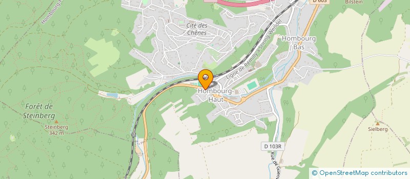 localisation de l'entreprise ASS SPORTIVE ET D'EDUCATION PHYSIQUE  HOMBOURG-HAUT