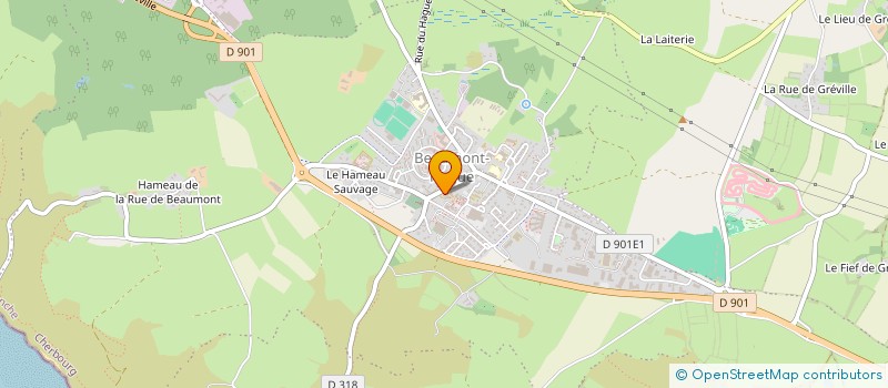 localisation de l'entreprise ASS SPORTIVE GREVILLAISE  LA HAGUE