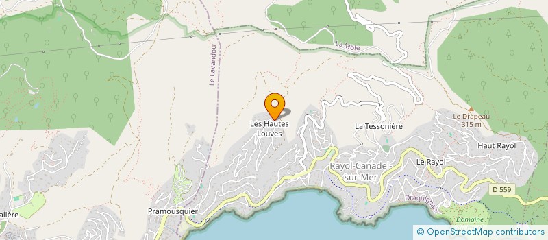 localisation de l'entreprise ASS SYNDICALE LIBRE DES HAUTES LOUVES à RAYOL-CANADEL-SUR-MER