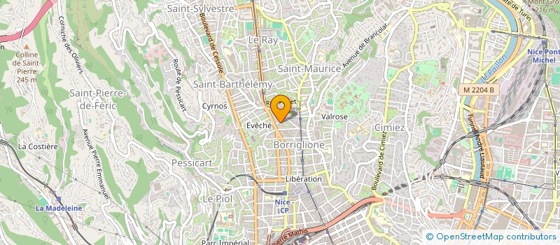 localisation de l'entreprise ASS TROUBLES BIPOLAIRES INFORM.ET SOUTI  NICE