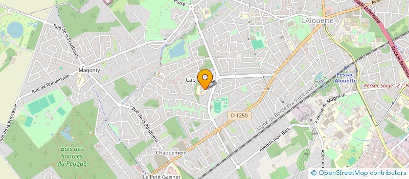 localisation de l'entreprise ASS USEP ECOLE CAP DE BOS PRIMAIRE  PESSAC