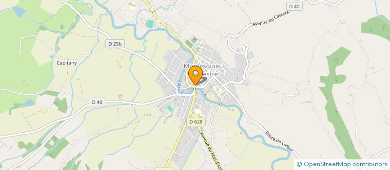 localisation de l'entreprise ASS VULGARIS AGRIC CANT MONTESQUIEU VOLV  MONTESQUIEU-VOLVESTRE